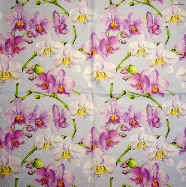 134 Orchids - 3-ply (blue) - Ambiente